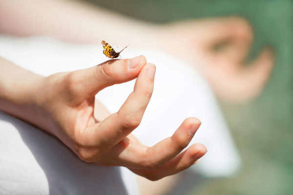 Meditação Transcendental: mantra do dia e uma vida plena